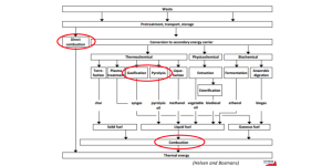 Mengubah Masalah Menjadi Solusi Memahami Teknologi Pengolahan Sampah Makanan Menjadi Energi Listrik